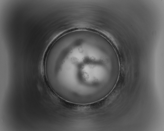 X0000100480887200806131228