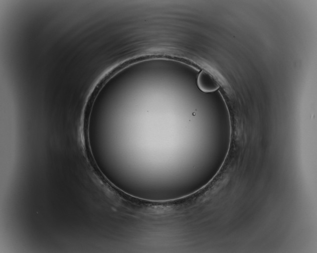 X0000100480888200806131228