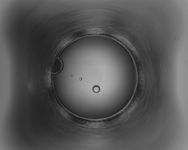 X0000100480889200806131228