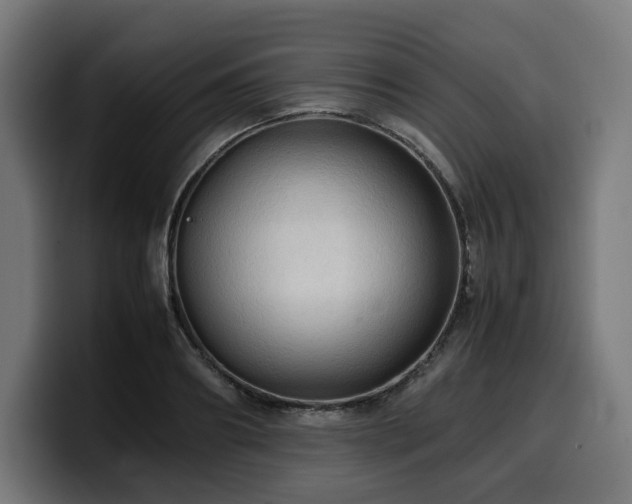 X0000100480890200806131228