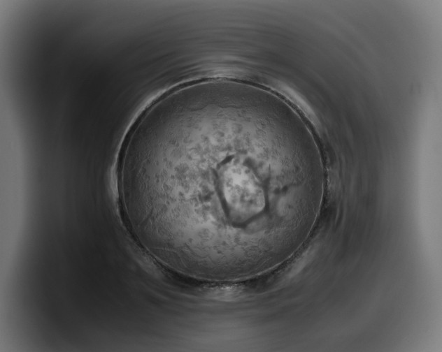 X0000100480891200806131228