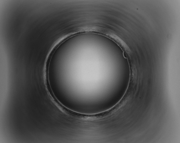 X0000100480894200806131228