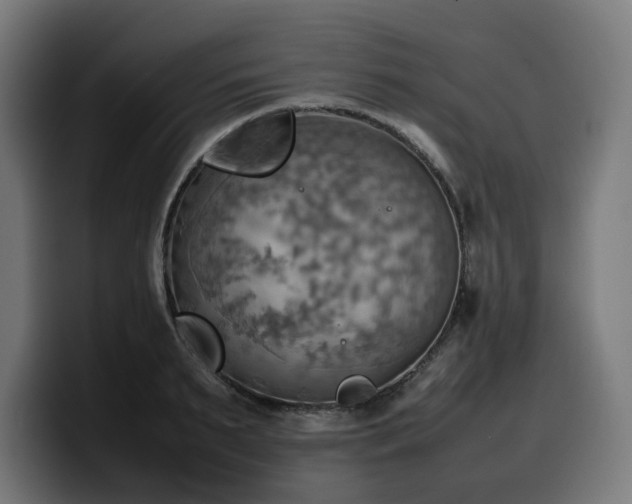 X0000100480895200806131228
