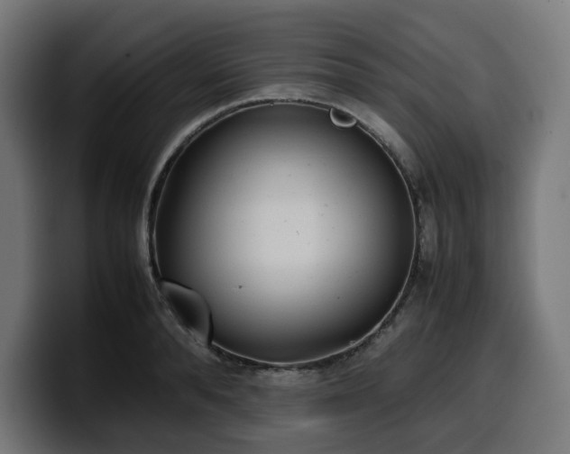 X0000100480896200806131228