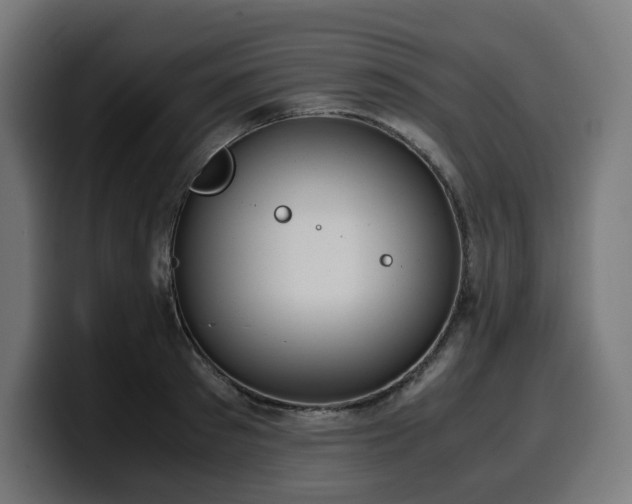 X0000100480897200806131228