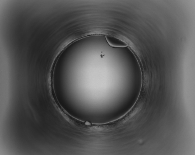 X0000100480898200806131228