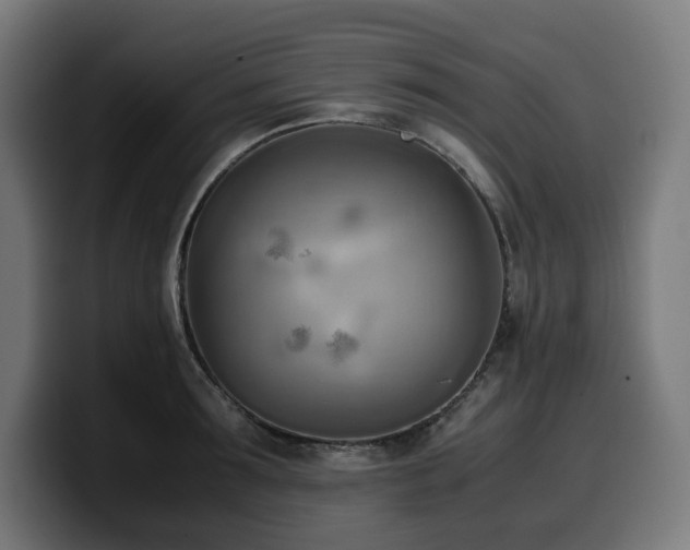 X0000100480899200806131228