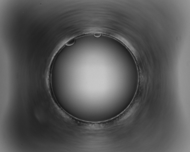 X0000100480901200806131227