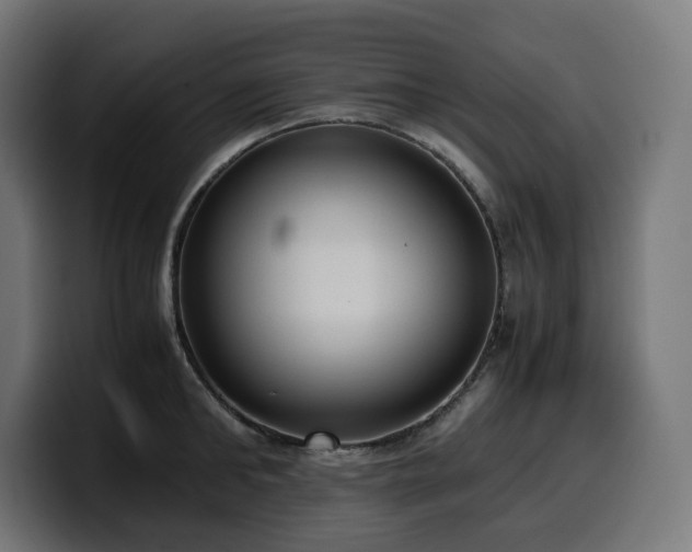 X0000100480902200806131227