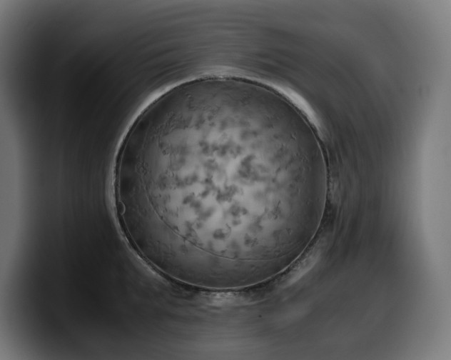 X0000100480903200806131227