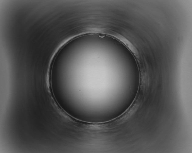 X0000100480904200806131227