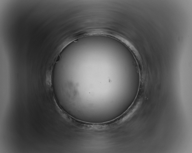 X0000100480905200806131227
