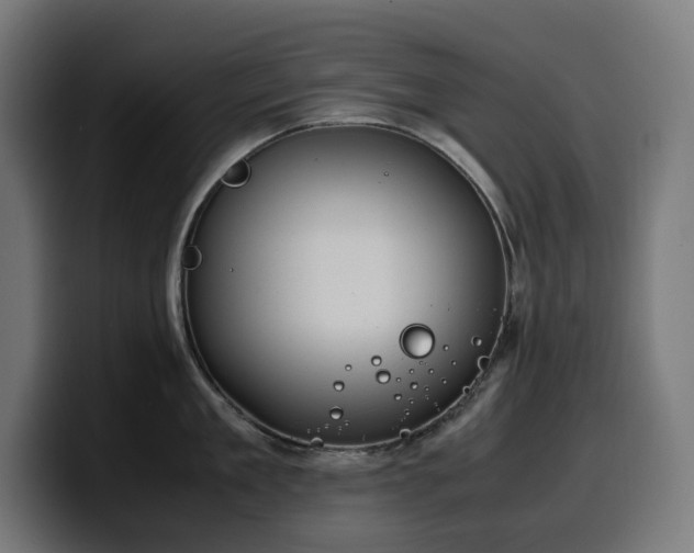 X0000100480909200806131227