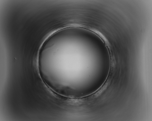 X0000100480910200806131227