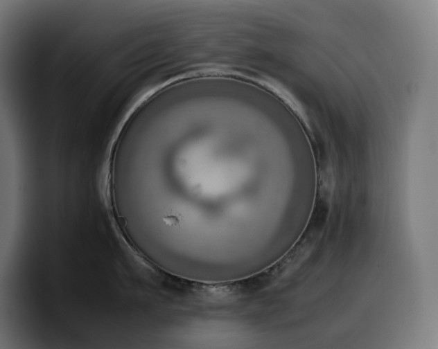 X0000100480911200806131227