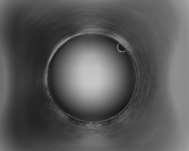 X0000100480912200806131227