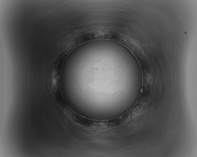 X0000100480914200806131227