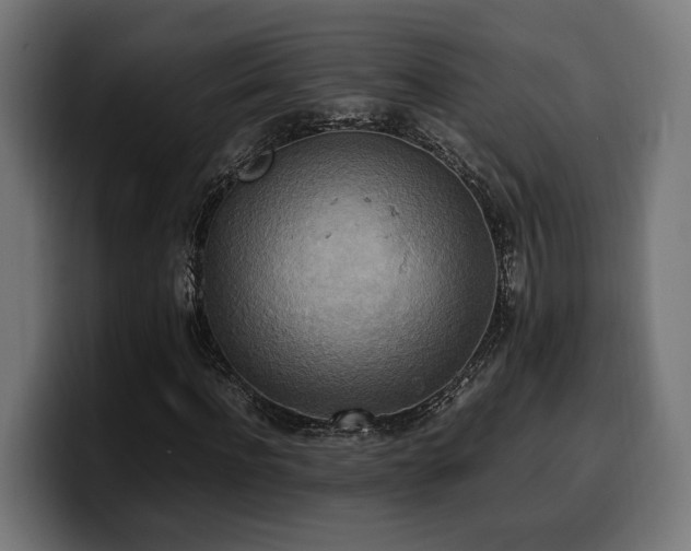 X0000100480916200806131227
