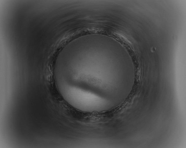 X0000100480917200806131227