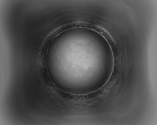 X0000100480919200806131227