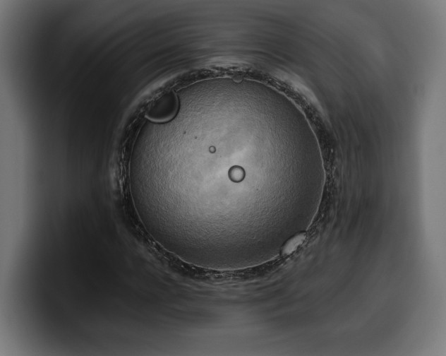 X0000100480920200806131227