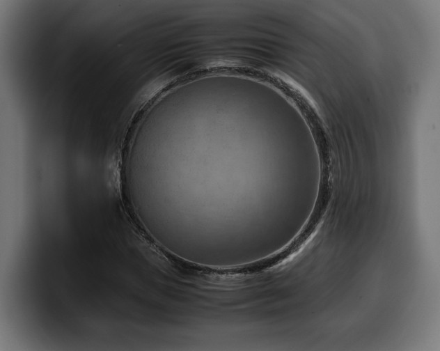 X0000100480921200806131227