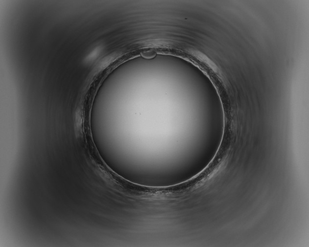 X0000100480922200806131227