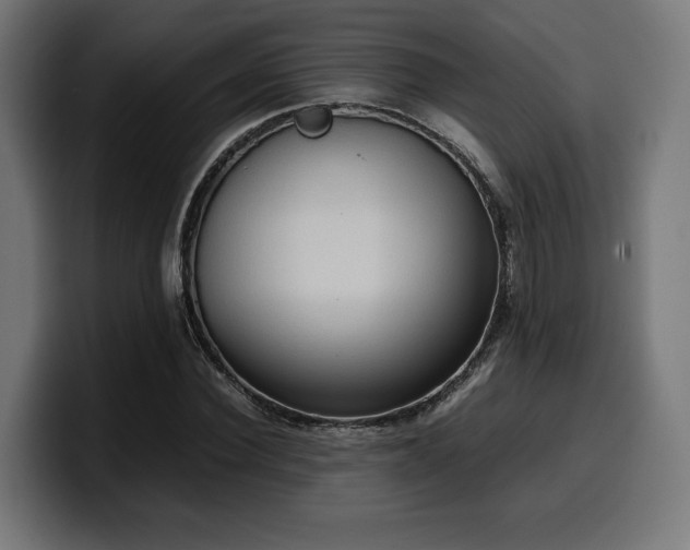 X0000100480924200806131227