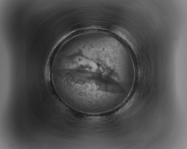 X0000100480925200806131227