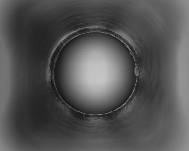 X0000100480927200806131227