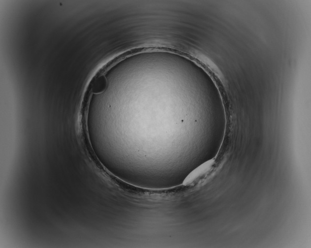X0000100480928200806131227