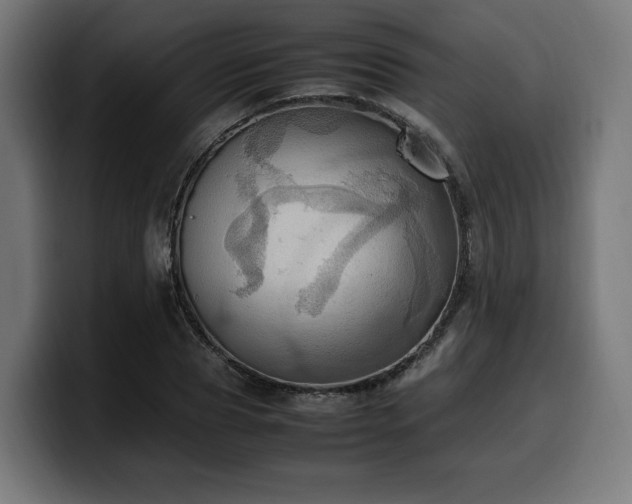 X0000100480929200806131227