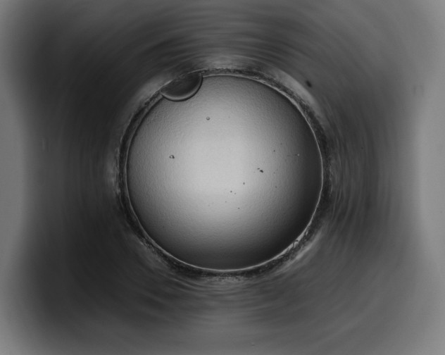 X0000100480930200806131227