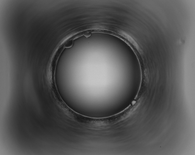 X0000100480931200806131227