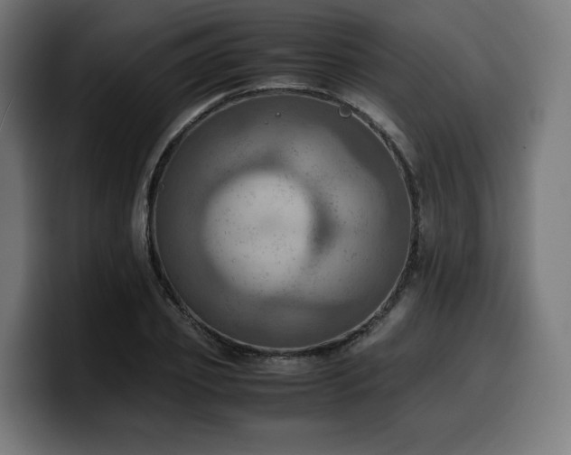 X0000100480933200806131227