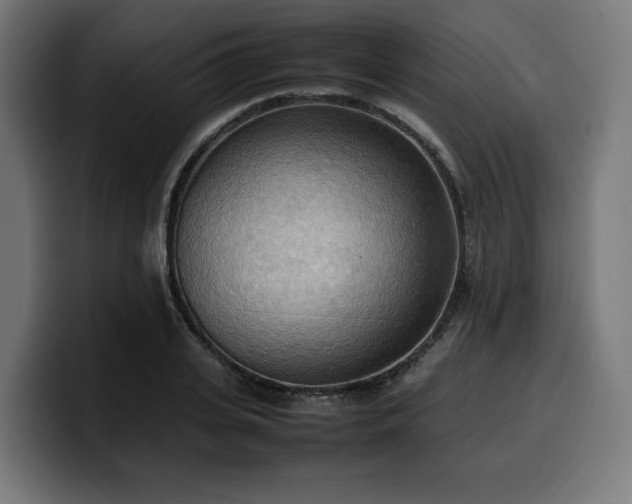 X0000100480935200806131227