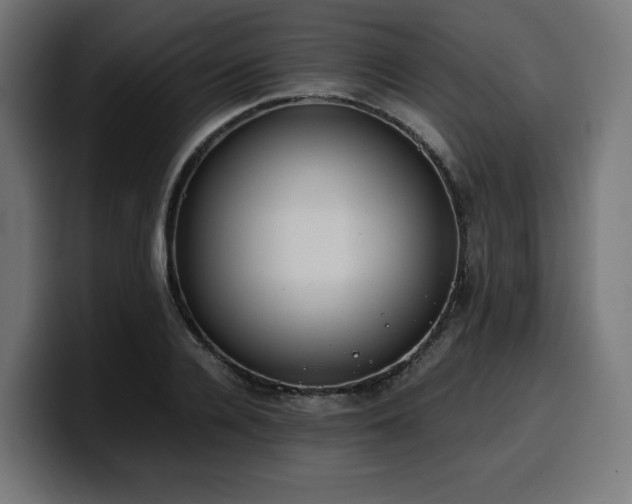 X0000100480936200806131227