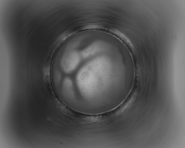 X0000100480937200806131227
