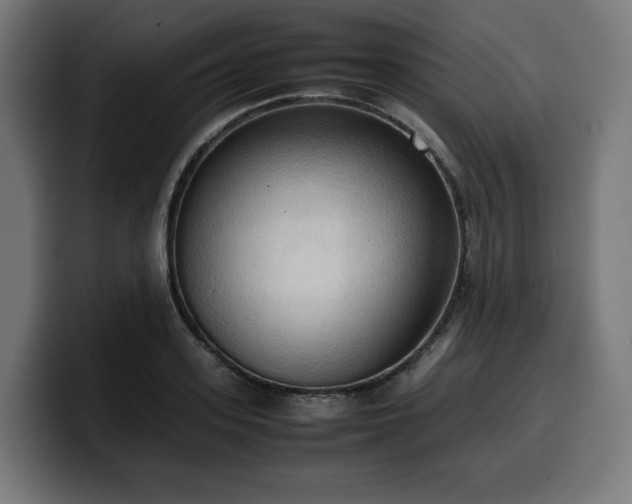 X0000100480939200806131227