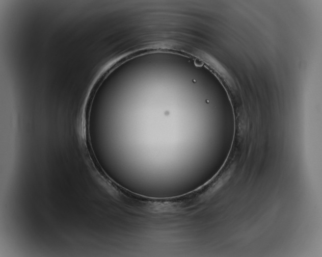 X0000100480940200806131227