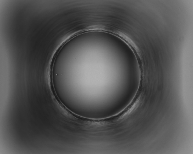 X0000100480941200806131227