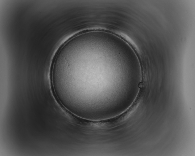 X0000100480943200806131227