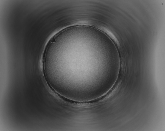 X0000100480944200806131227