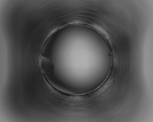 X0000100480945200806131227
