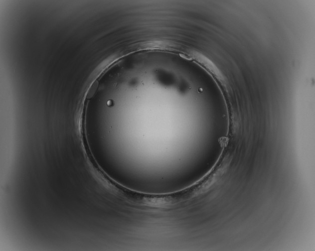 X0000100480946200806131227