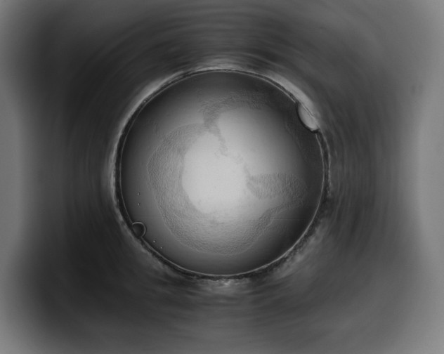 X0000100480949200806131227