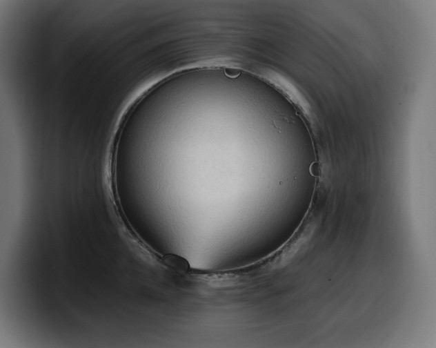 X0000100480952200806131227