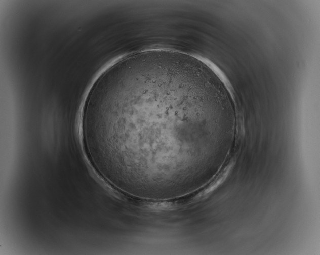 X0000100480957200806131227