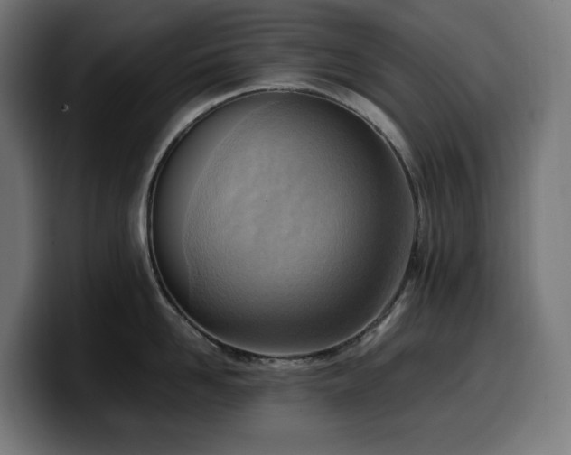 X0000100480958200806131227