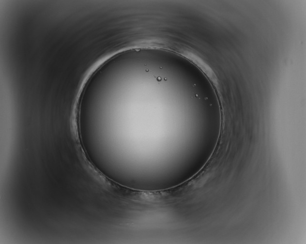 X0000100480960200806131227